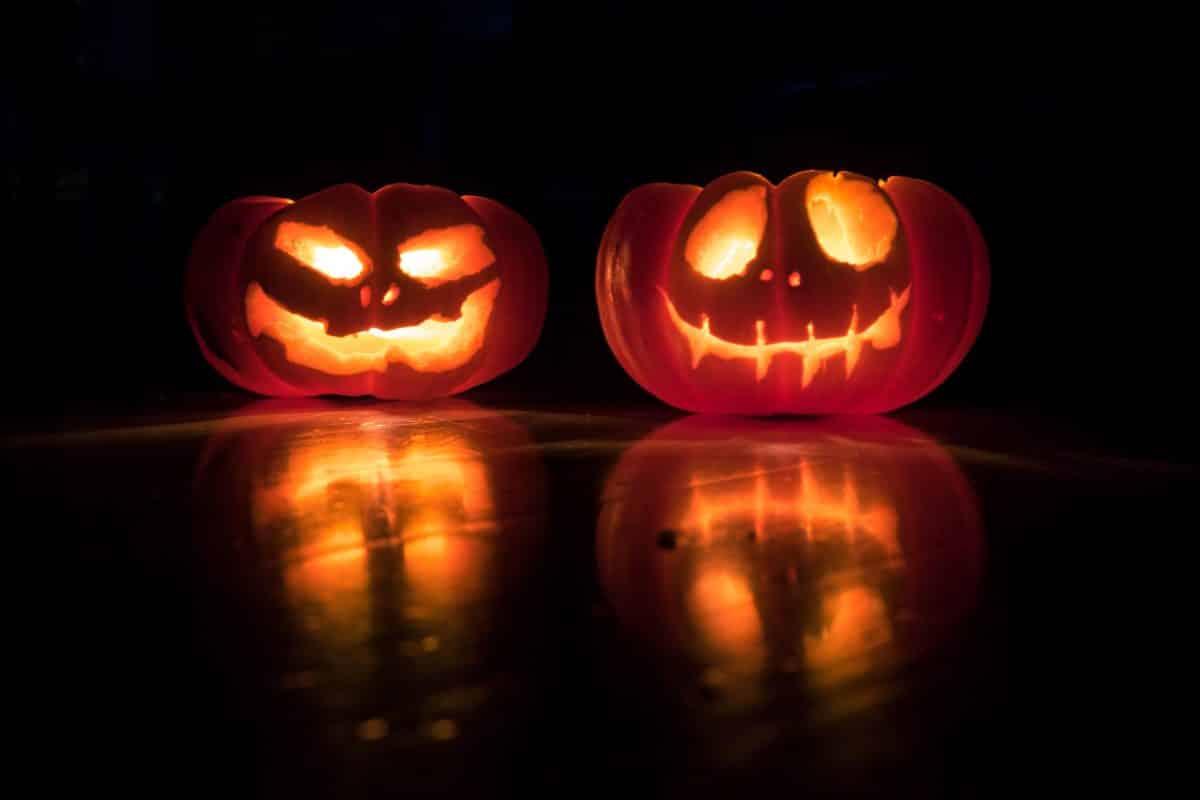 citrouilles d'halloween 