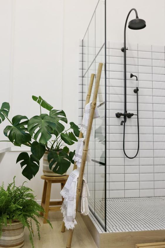 une douche moderne avec un style vegetal et zen