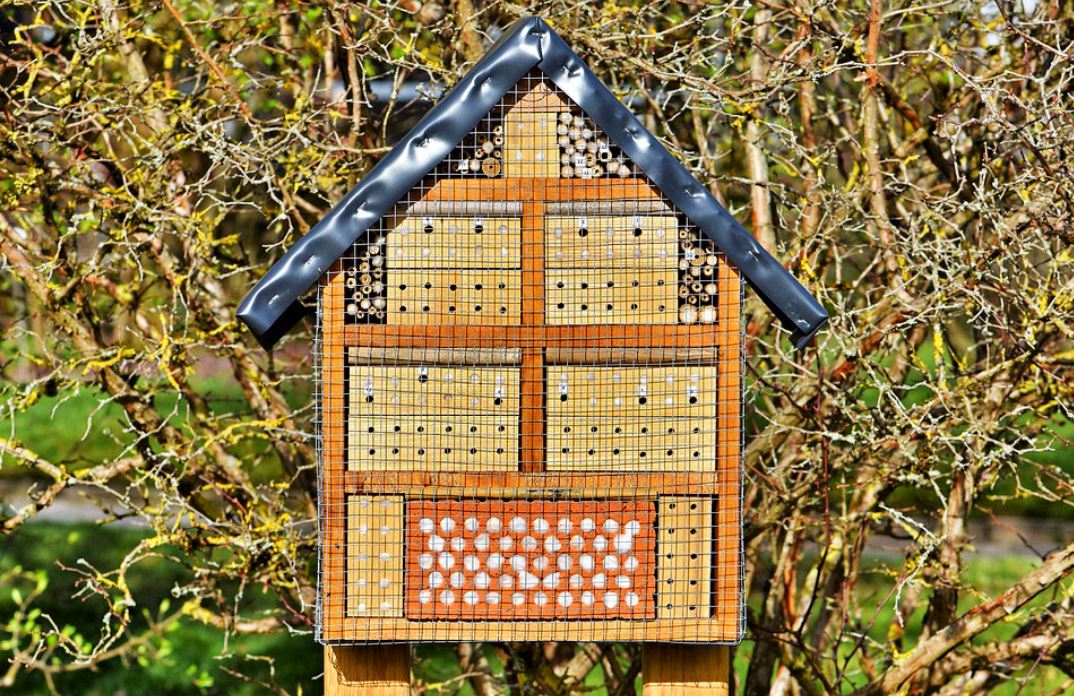 Maison A Insecte Comment Et Pourquoi Installer Un Hotel A Insectes