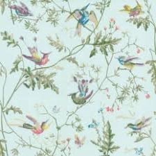 Papier peint oiseau 