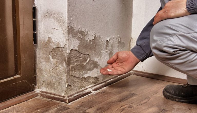 À épingler : Salpêtre sur les murs : Qu’est-ce que c’est ? Comment le traiter ? Quels sont les dangers ?