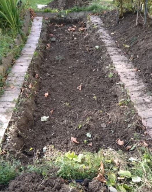 Creuser le sol avant de faire sa butte de permaculture