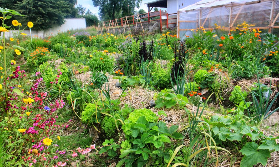 Créer une butte de permaculture : Comment faire ? | Ctendance.fr