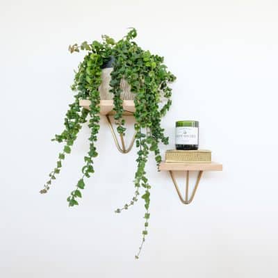 Etagère géométrique et minimaliste sur un mur blanc avec plantes 