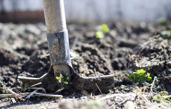 Becher Jardin sans se fatiguer