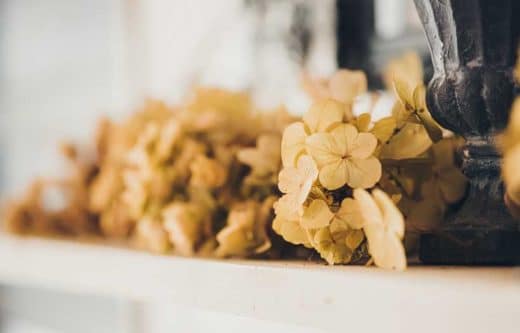 À épingler : Comment conserver un bouquet de fleurs séchées ?