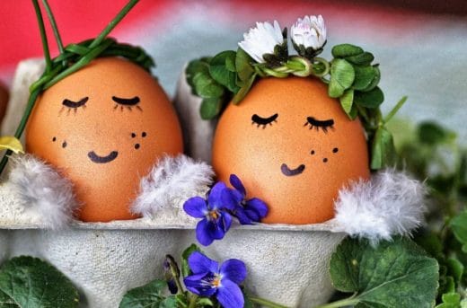 À épingler : Jardiniers, voici pourquoi vous devriez utiliser des coquilles d’œufs dès maintenant !