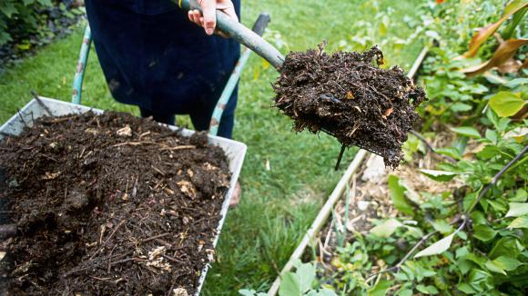 Compost Engrais Jardin