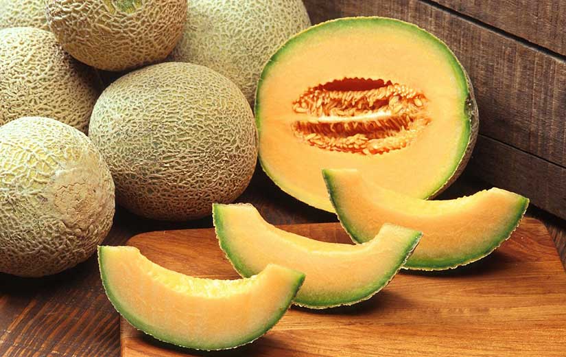 Melon Cantaloup Variétés