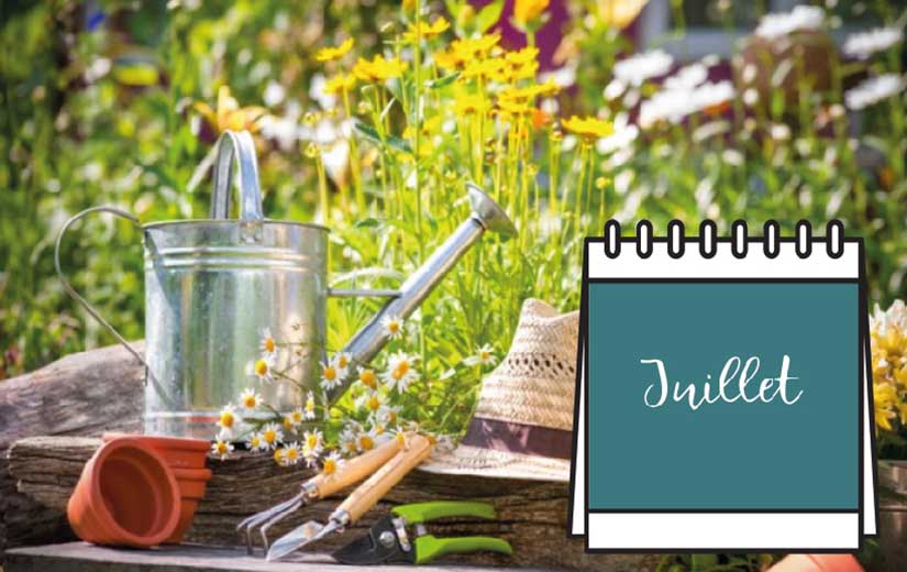 Calendrier Jardin Juillet