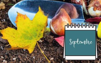 Calendrier Jardin Septembre