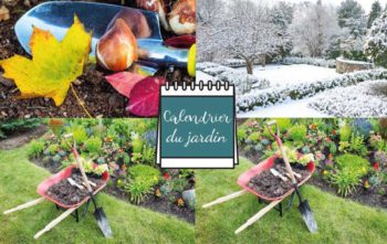 Calendrier Jardinage pour l'année