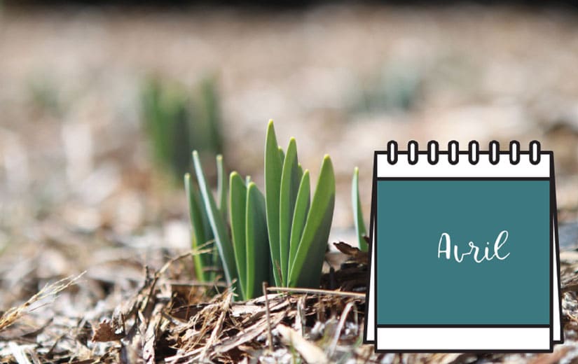 Calendrier Jardinage Avril