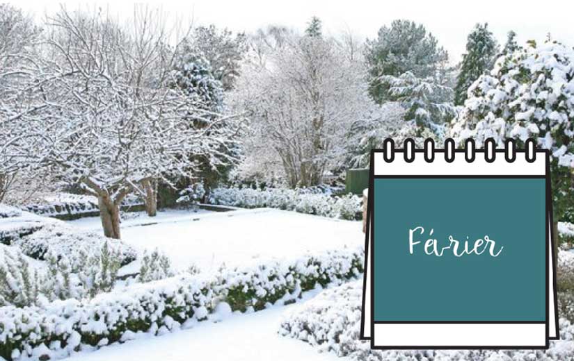 Calendrier Jardinage Fevrier