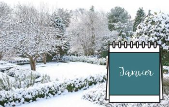 Calendrier Jardinage Janvier