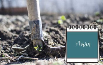 Calendrier Jardinage Mars