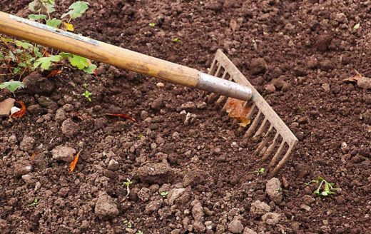 À épingler : L’importance de connaitre la nature du sol de votre jardin