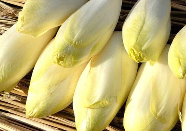 Endives