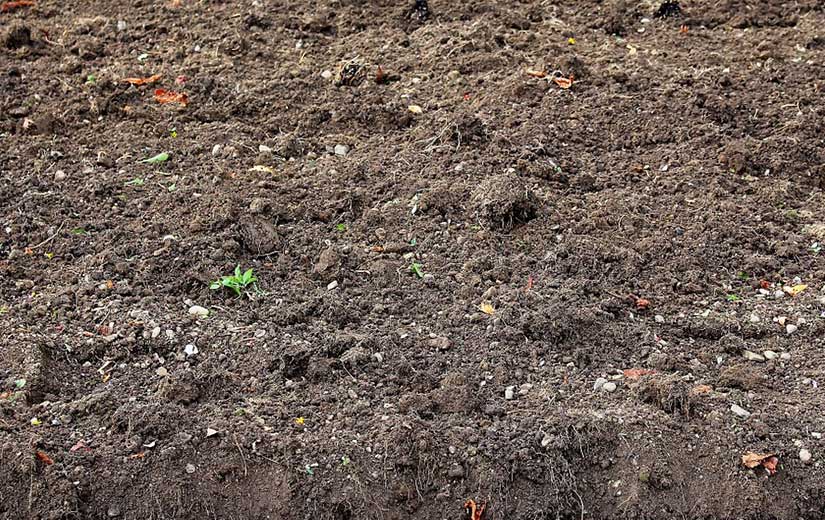Humus Sol Potager