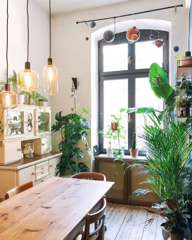 Cuisine Urban Jungle 