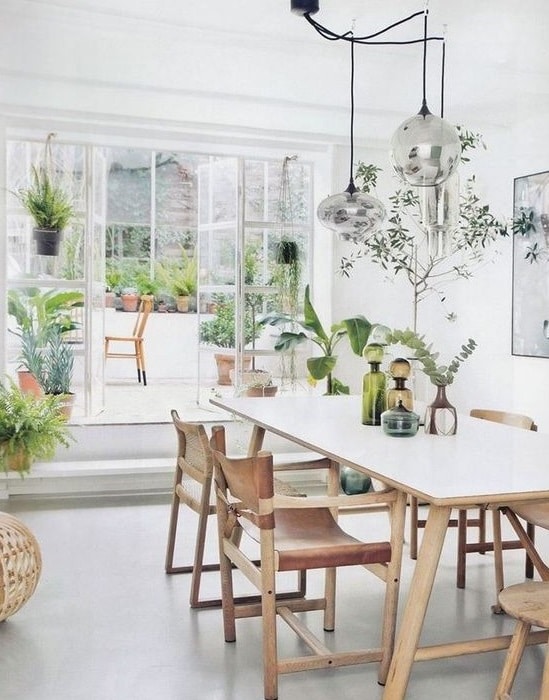 Plantes 