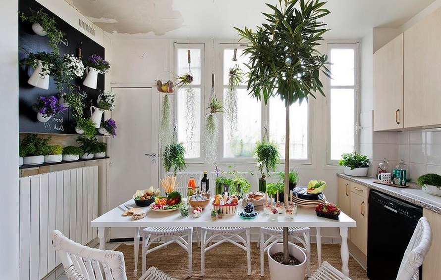 Urban Jungle 