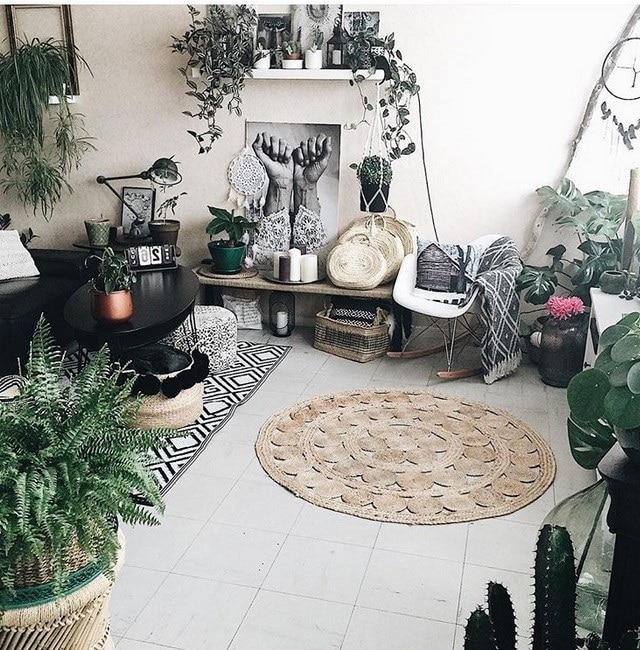 Urban Jungle 