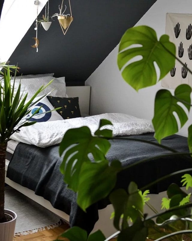 Urban Jungle2 