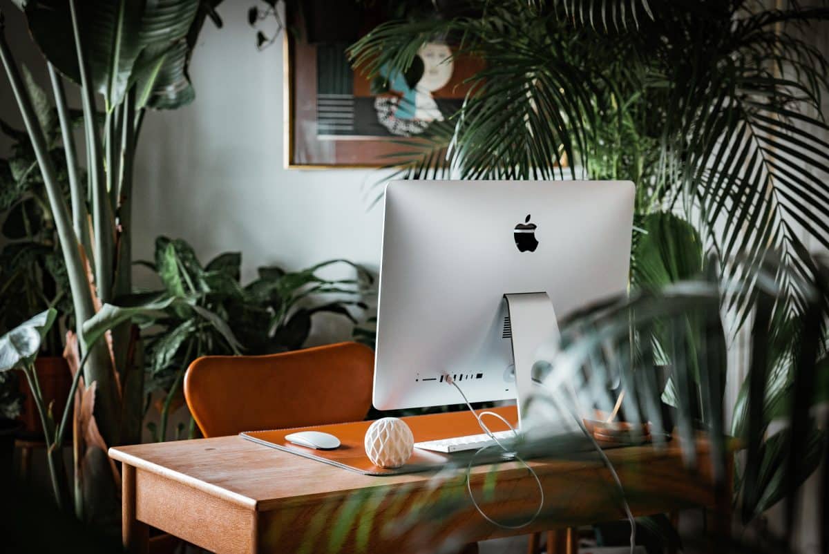 Un bureau avec une déco végétale et cocooning 