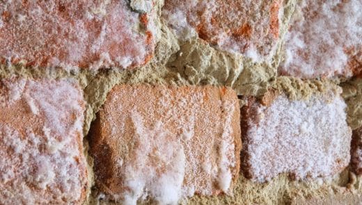 À épingler : Traiter le salpêtre naturellement : les solutions