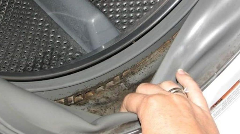 Comment nettoyer les joints dans une machine à laver 😕 — free download