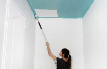 Peinture Plafond Perche