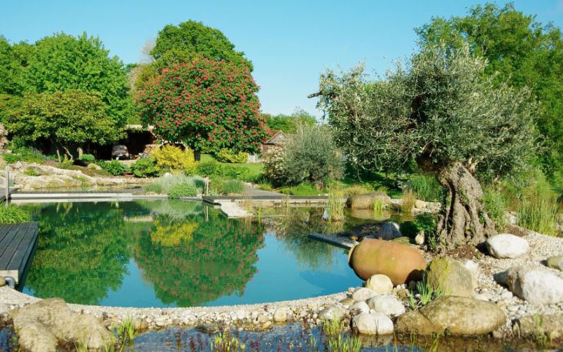 Piscine Naturelle 