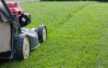 tondeuse pour entretenir le jardin