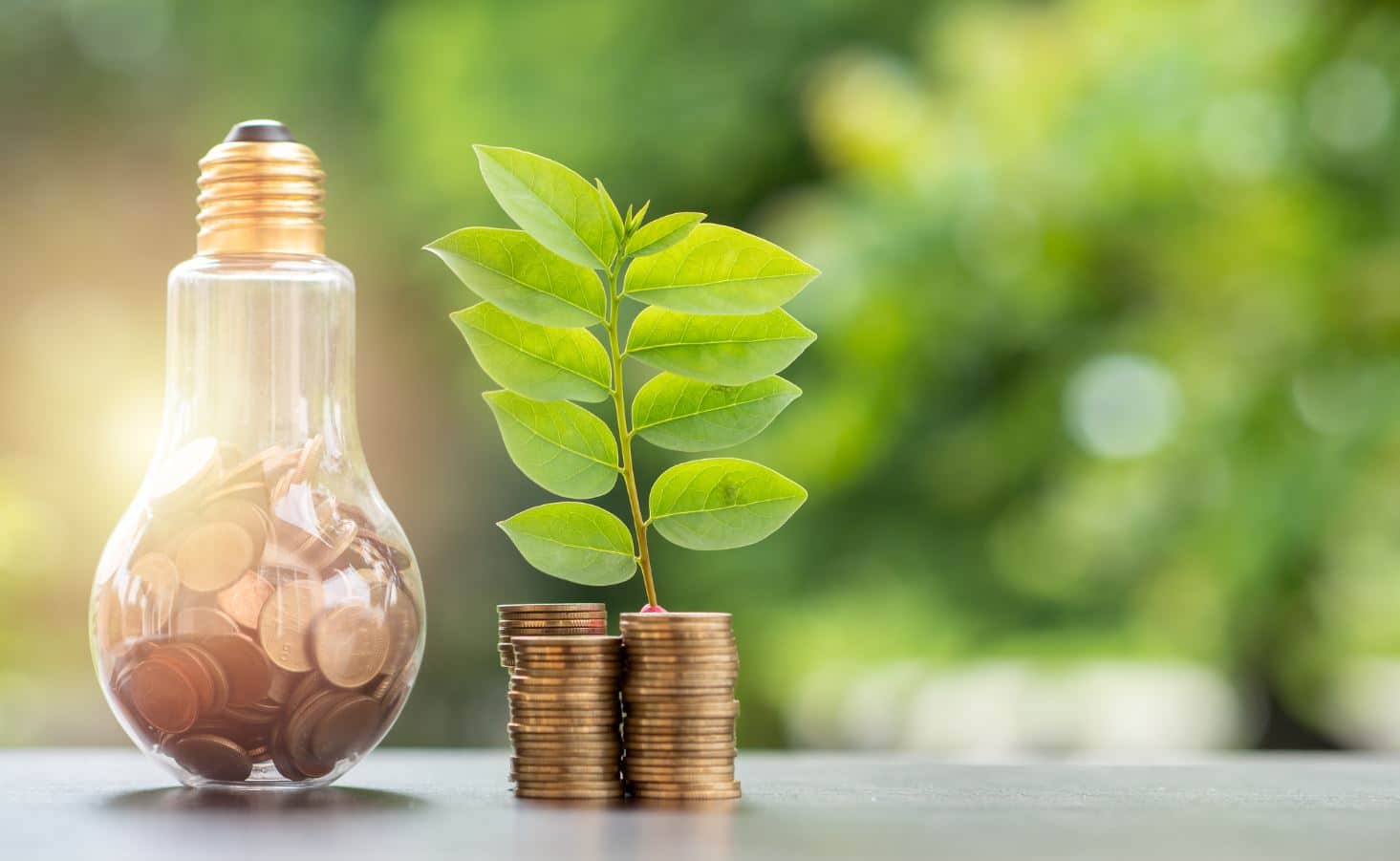 Réduire Sa Consommation Énergétique : 7 Astuces