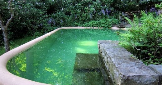 À épingler : La filtration d’une piscine naturelle