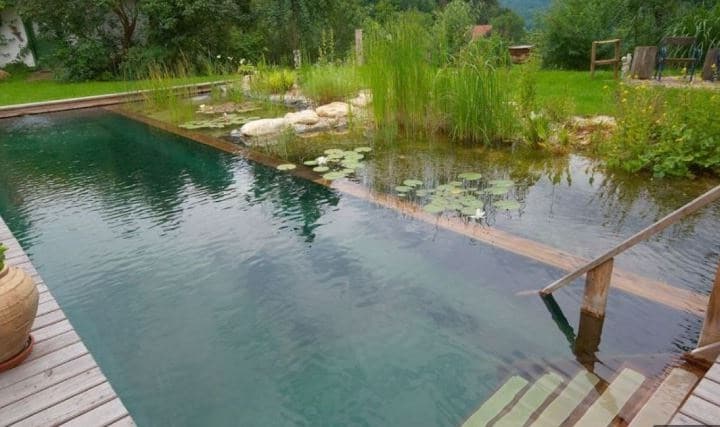 Piscine Naturelle Filtration 