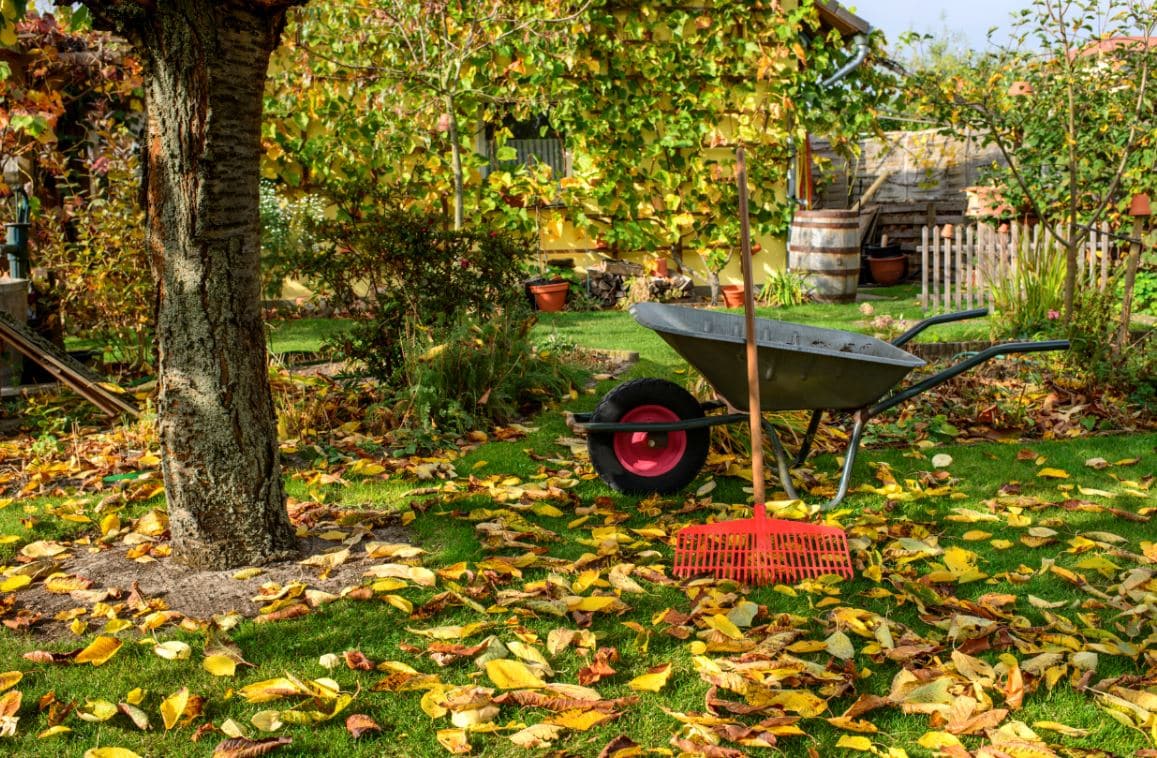 Jardin Automne Hiver