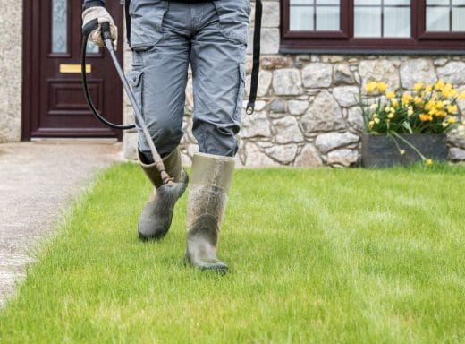 traitement-du-jardin-conseils-pour-bien-pulveriser-le-jardin