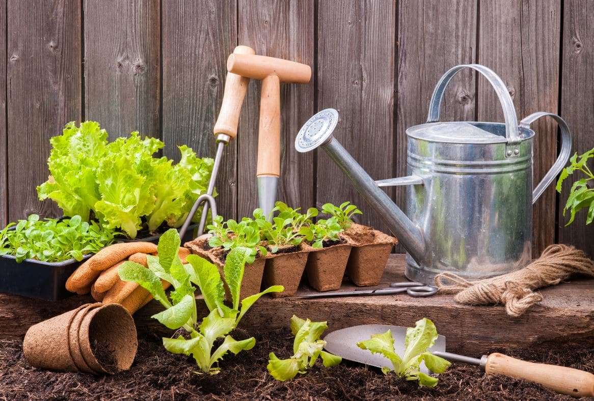 Jardinage Mars Les Bons Gestes