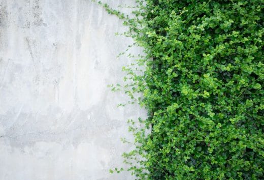 À épingler : Aménagement extérieur : poser une clôture en béton