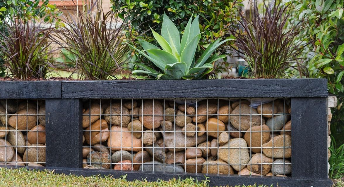 Mur Pierres Et Plantes Grasses 