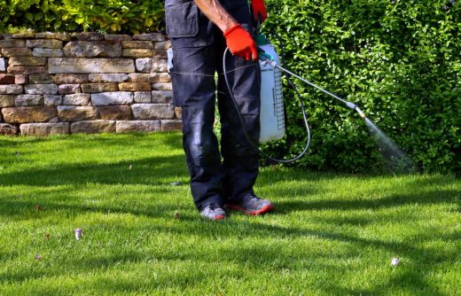 À épingler : Jardin : comment bien pulvériser (traitements et désherbages)