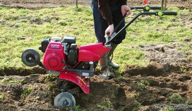 Travaux Jardin Motobineuse 