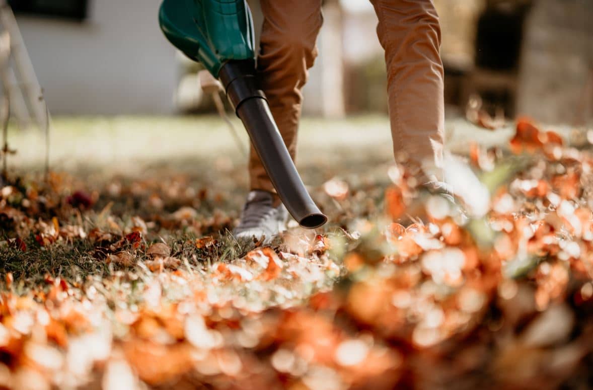 Jardinage Octobre Preparer Hiver