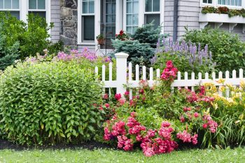 Beau Jardin voici nos conseils