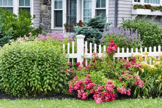 À épingler : 7 astuces pour avoir rapidement un beau jardin !
