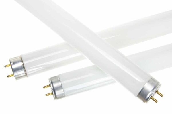 Lot De 3 Lampes Luciole Au Néon 220V - Marque Claude, Type TMP2, Pour éclairage D'ambiance