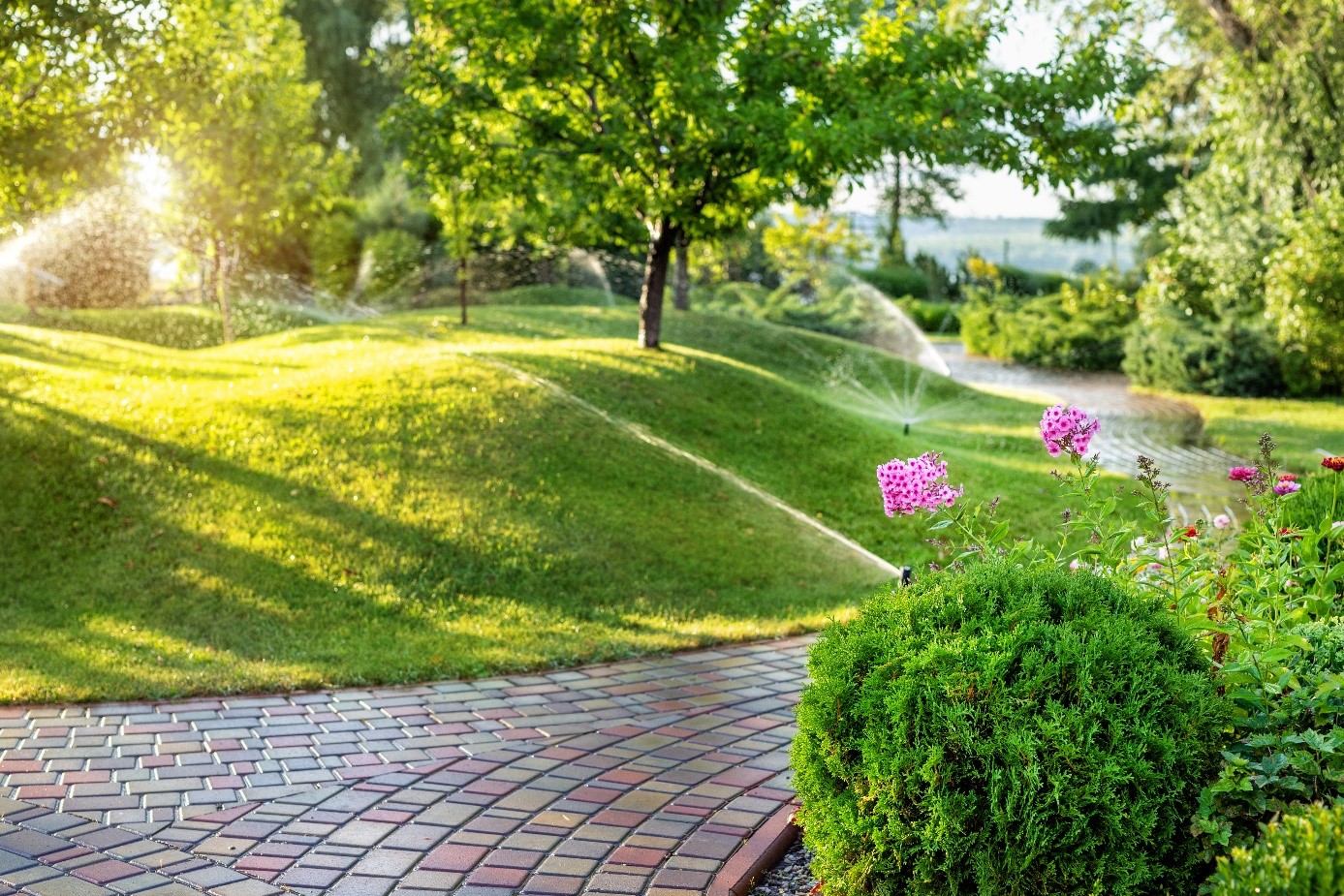 Arrosage Automatique Jardin