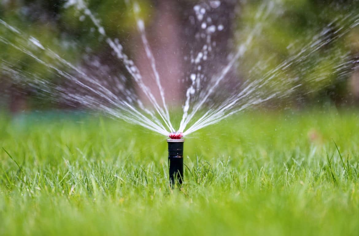 L'arrosage automatique : pourquoi séduit-il de nombreux jardiniers